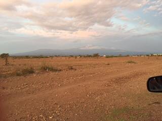 Scouting across the globe