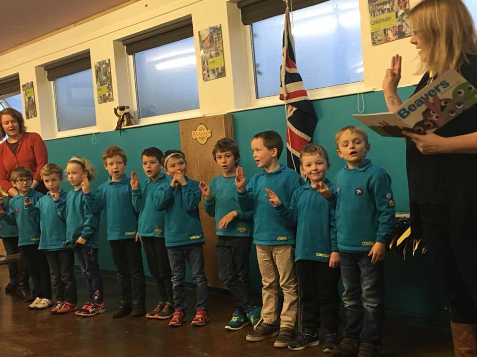 Welcome to the new Beavers