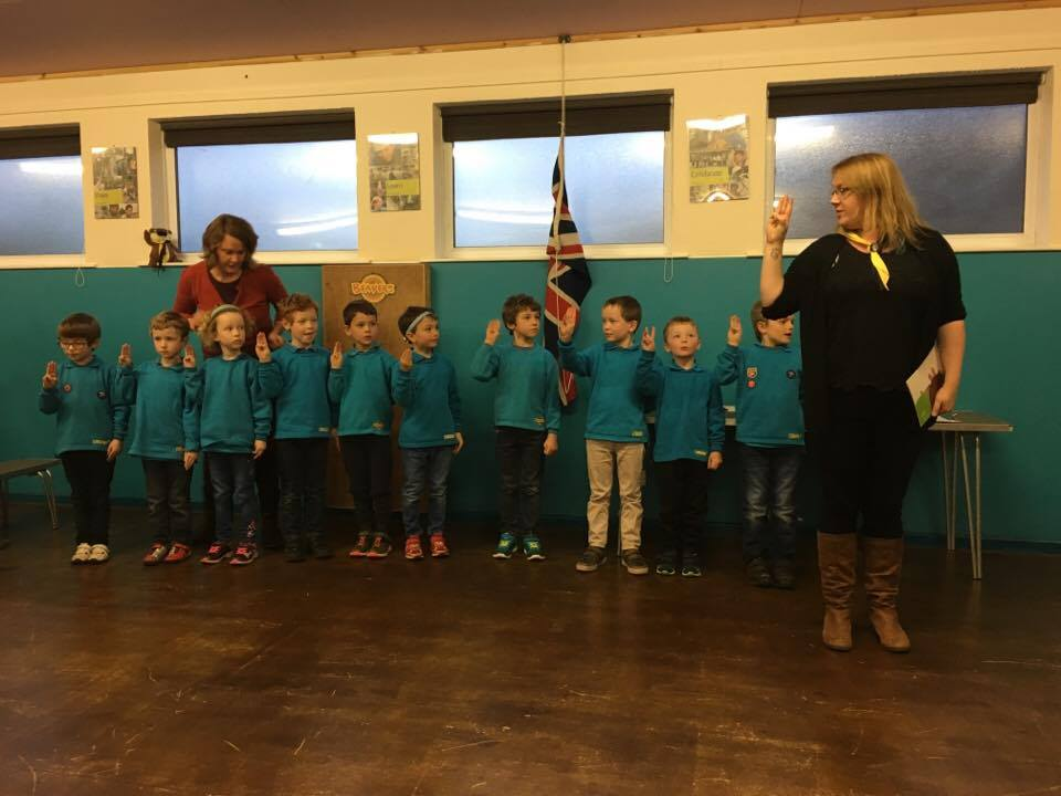 Welcome to the new Beavers